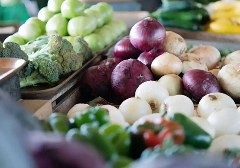 HOTEL COZZI和逸飯店│官網最優惠│線上快速訂房